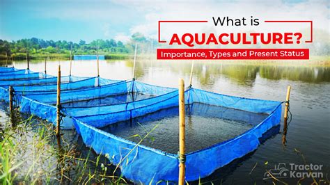 Aquaculture – Definition, Types, Importance, Advantages.